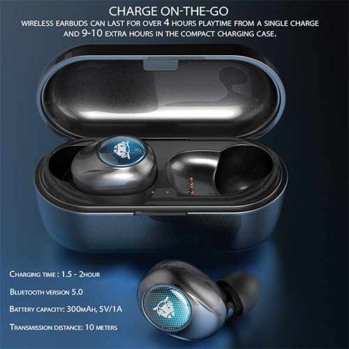 Ant Sports 750 Earbuds